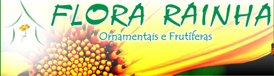 muda-arvore-frutifera-florarainha-Banner