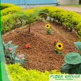 Argila Expandida para Jardim Argila Expandida para Jardim