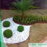 Pedra Branca para Jardim Pedra Branca para Jardim