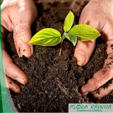 Adubos Orgânicos para Orquídeas