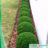 Fertilizante para Jardinagem