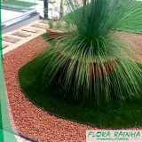 argila expandida para jardim valor Parque Dom Pedro argila expandida para jardim valor Parque Dom Pedro