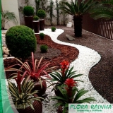 argila expandida para jardim Mairinque argila expandida para jardim Mairinque