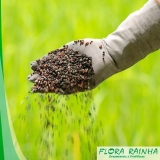 distribuidor de fertilizantes simples Vila Clementino distribuidor de fertilizantes simples Vila Clementino