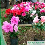 Forração de Jardim com Flores Forração de Jardim com Flores