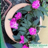 Forração de Jardim Forração de Jardim