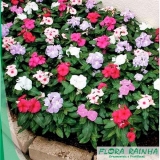 Forração Vermelha para Jardim Forração Vermelha para Jardim