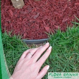 limitador de grama para jardim valor Jd da Conquista limitador de grama para jardim valor Jd da Conquista