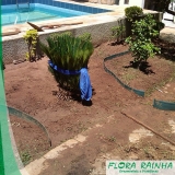 limitador de grama para jardim Vila Alexandria limitador de grama para jardim Vila Alexandria