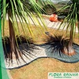 manta de bidim para jardim valor Artur Alvim manta de bidim para jardim valor Artur Alvim