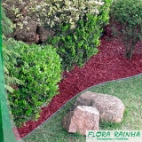 onde vende limitador de grama para jardim Serra da Cantareira onde vende limitador de grama para jardim Serra da Cantareira