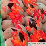 quero comprar muda de mamey Jardim Santa Terezinha quero comprar muda de mamey Jardim Santa Terezinha