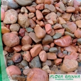 seixos para jardim Pedreira seixos para jardim Pedreira